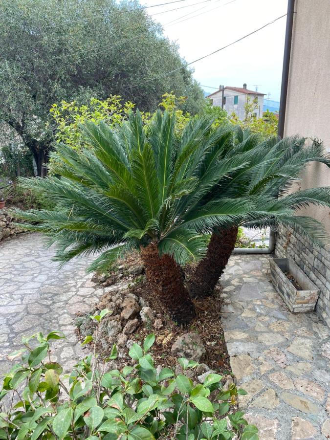 Il Giardino Delle Cycas Apartamento Romito Magra Exterior foto